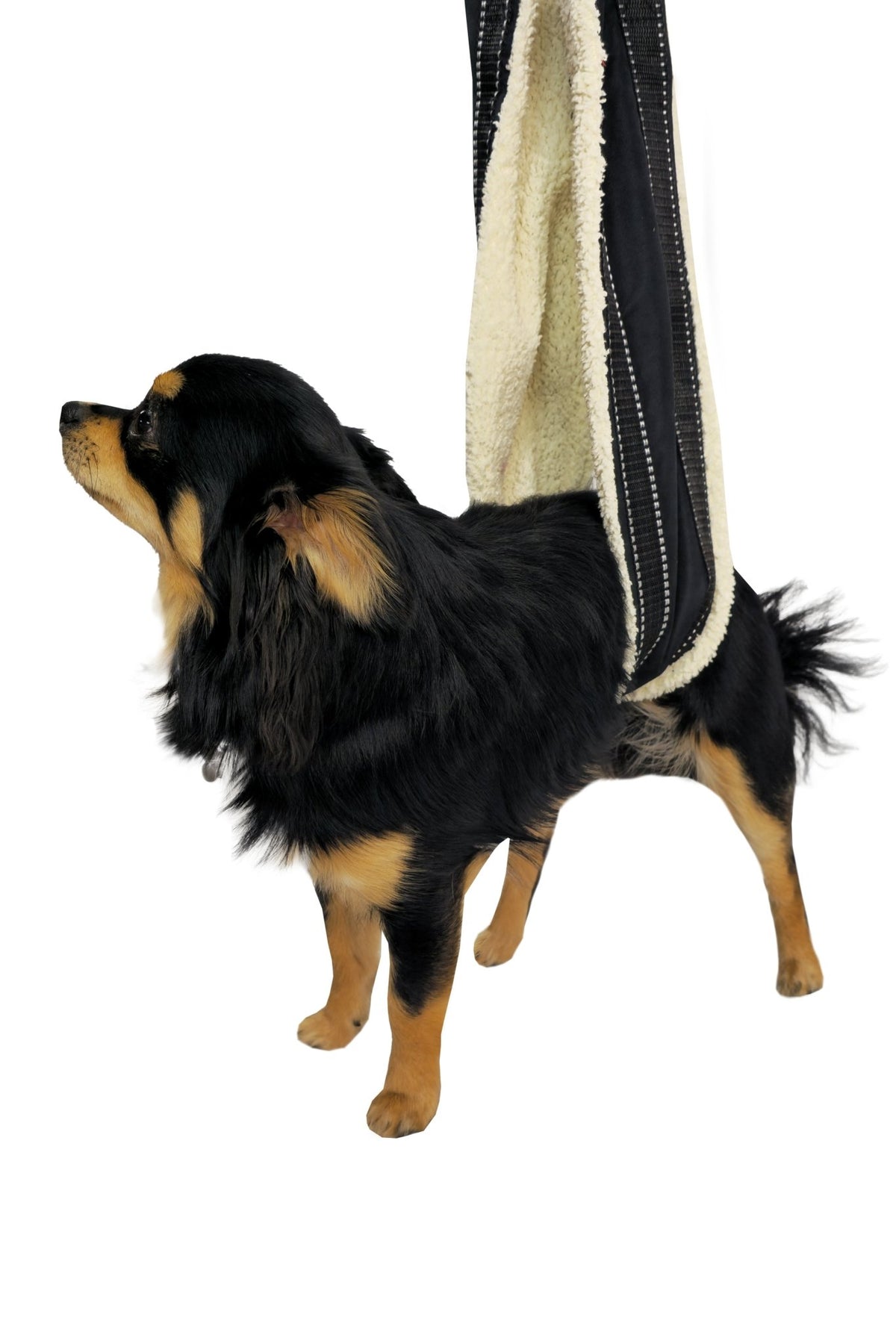 Ergonomic Adjustable Dog Harness with Handles - Optimum