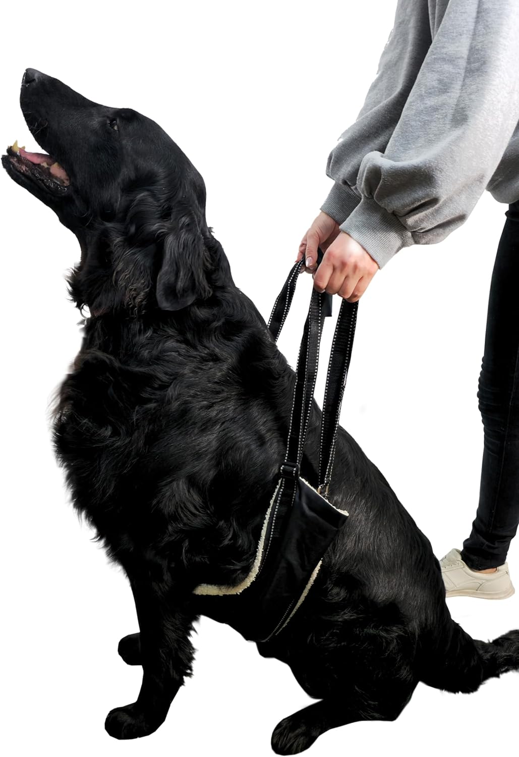 Ergonomic Adjustable Dog Harness with Handles - Optimum