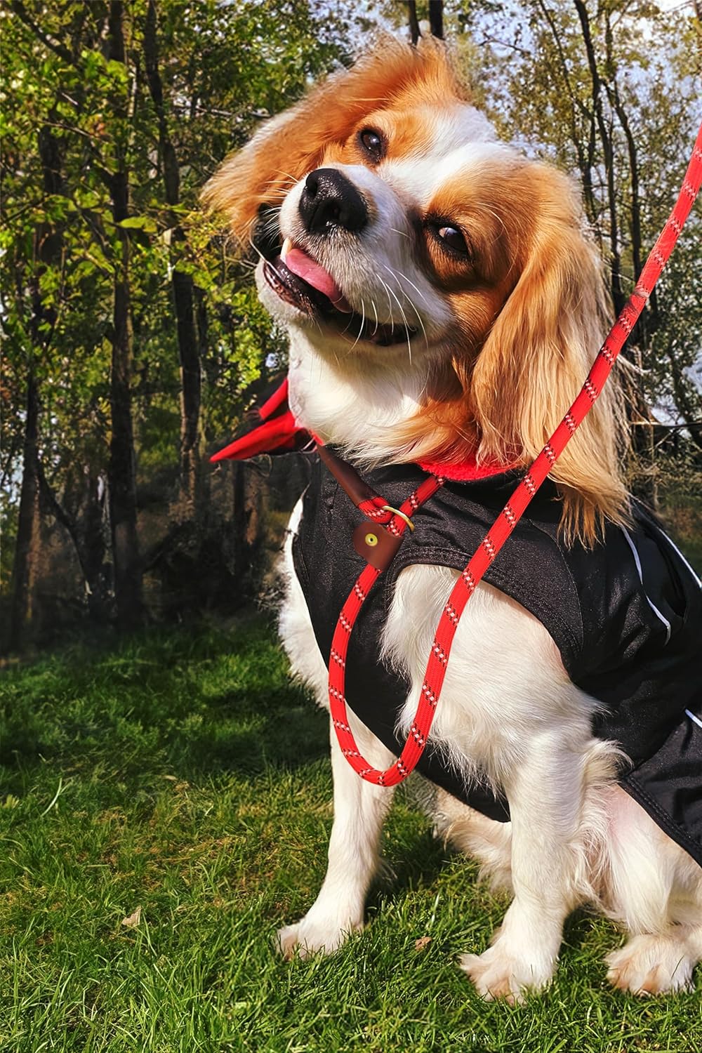 Waterproof Dog Jacket/Coat with Fleece Lining, Reflective Strips - Optimum